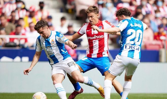 不仅会对相 不仅会对相