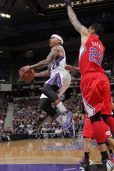 排球专业人 排球专业人